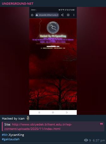 地下网瞄准比尔肯特大学网站李白你好-实战攻防李白你好