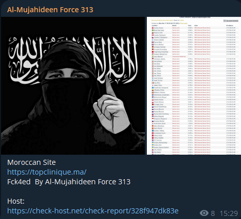 AL-MUJAHIDEEN FORCE 313瞄准TopClinique网站李白你好-实战攻防李白你好