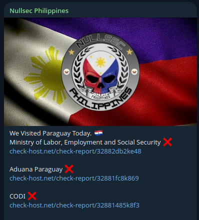 Nullsec Philippines瞄准国家海关总署（DNA）网站李白你好-实战攻防李白你好